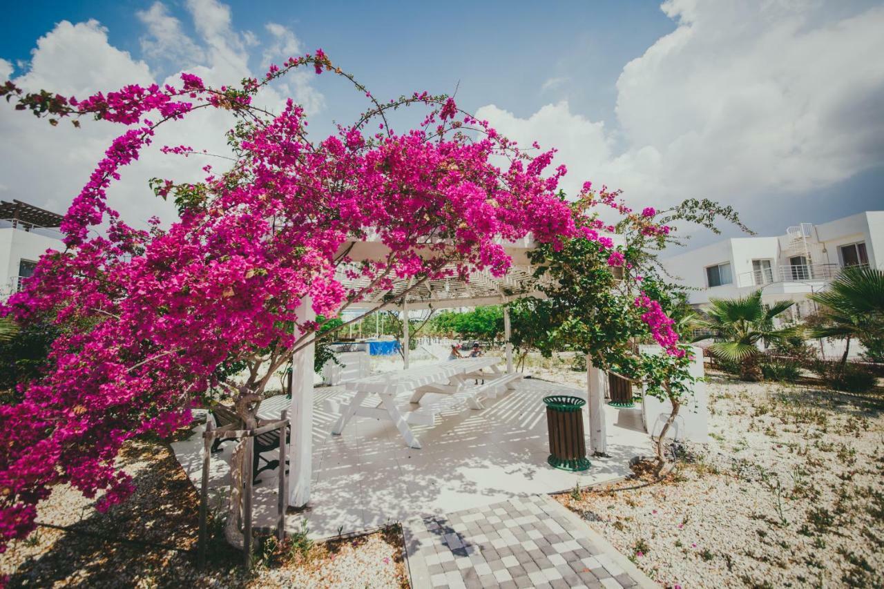 Apartment On The Seashore 3 Rooms Caesar Beach Boghaz Экстерьер фото